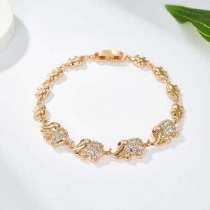 影像2025-12-15 20.24 (4)