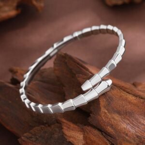 影像2025-12-17 21.06 (1)