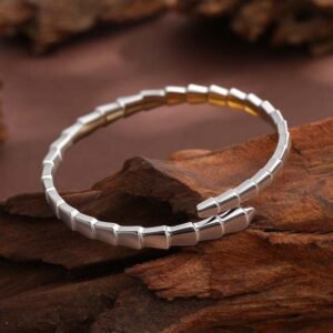 影像2025-12-17 21.06 (2)