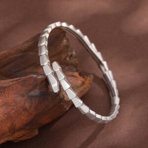 影像2025-12-17 21.06 (3)