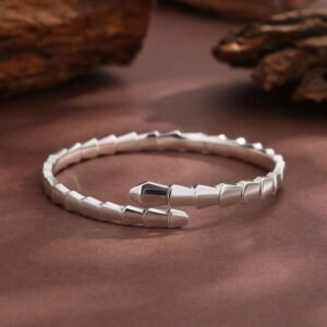 影像2025-12-17 21.06