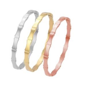 影像2025-12-18 20.35 (4)